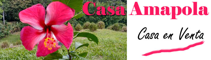 Casa Amapola Home for Sale